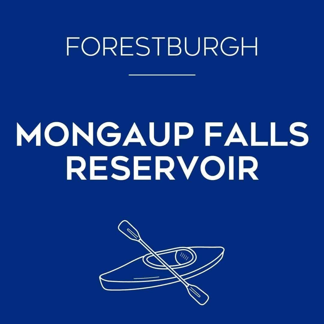 Forestburgh Mongaup Falls Reservoir